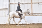 BPP_1169