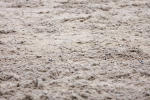 SBM_001757
