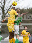 GFC v Hastings United-15