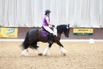 SBM_003247