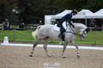 135-Maddison.Peries-CHAMPAGNE.SILVER.NOVA portfolio