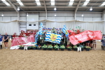SBM_009411