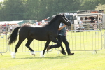 SBM_02359
