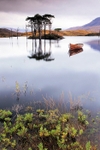 Loch Assynt in the rain
