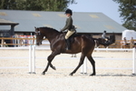 20260802-0204