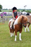 SBM_08402