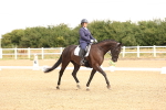 SBM_000261