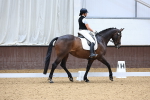 SBM_009241