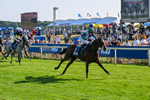 Race 7 17.40pm William Hill Best Odds Guaranteed Apprentice Handicap portfolio