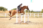 SBM_001665