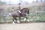 SBM_006363
