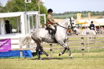 SBM_16226