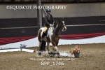 BPP_1746
