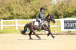 SBM_000673