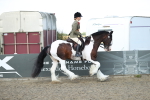 SBM_07031