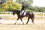 SBM_003647