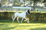 SBM_57916
