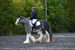 WJ5_9091