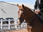 BPP_2082