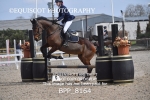 BPP_8164