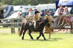 SBM_05313