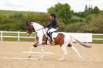 1I0A7460