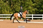 Cls 25 Novice Freestyle to Music BRONZE portfolio