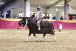 SBM_09671
