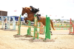 SBM_000902