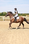 SBM_000987