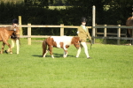 SBM_60793