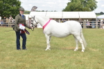 SBM_16142