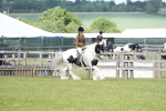 SBM_17241