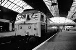 3rd Aug 1984
