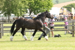 SBM_02344