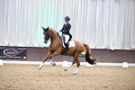 SBM_009216