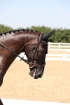 SBM_005684