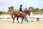 SBM_11584