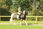 SBM_67391