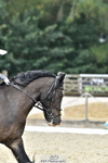 260801A-121858-03889