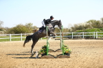 SBM_000528
