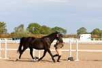 SBM_17878