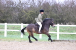 SBM_007413