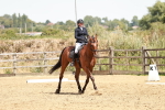 SBM_003591