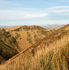 Burway Hill from above Townbrook Hollow