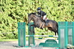 Cls 30 National 90cm Team portfolio