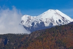 Conguillio National Park portfolio