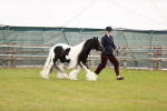 SBM_05965