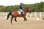 SBM_010460