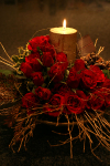 20 Roses